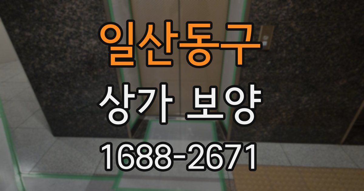 일산동구 상가 보양