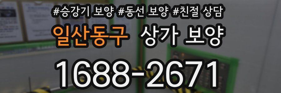 일산동구 상가 보양