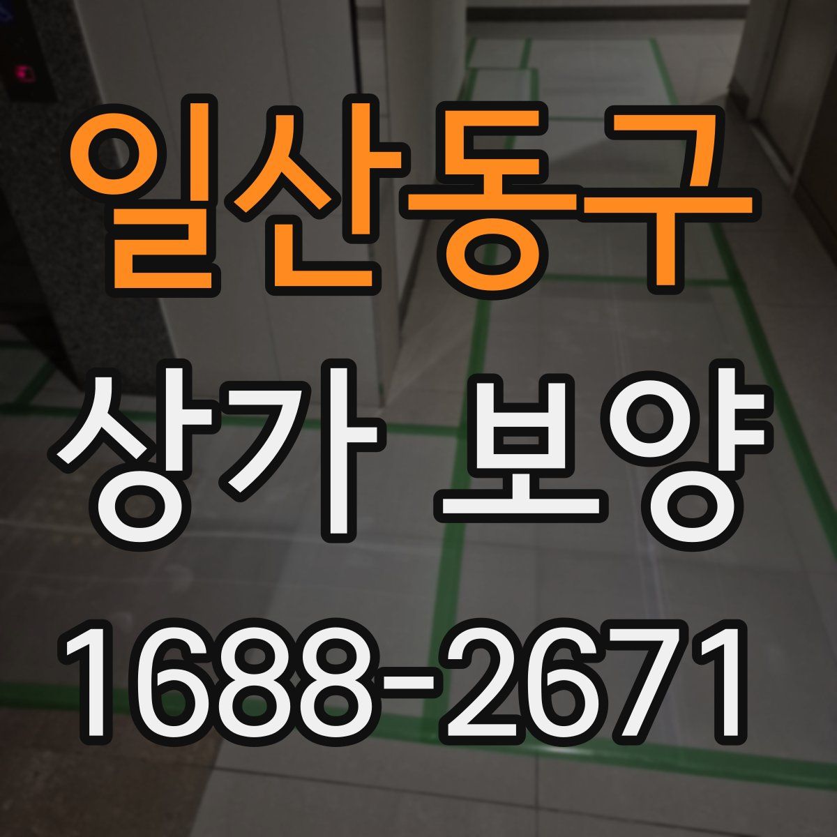일산동구 상가 보양