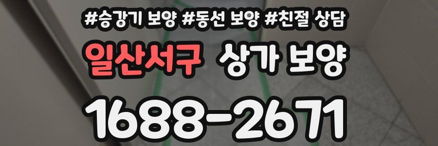 일산서구 상가 보양