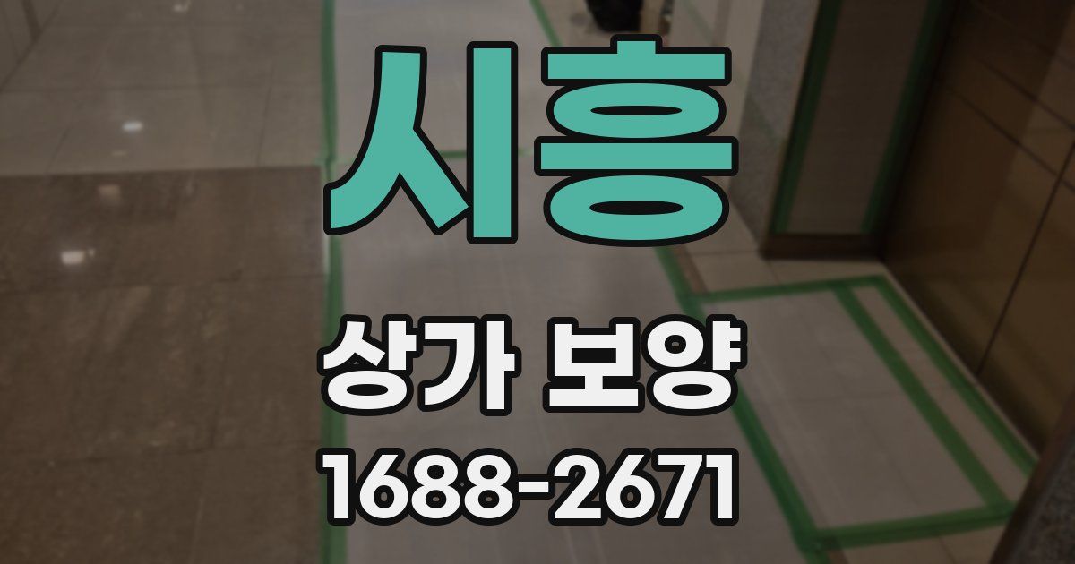 시흥 상가 보양