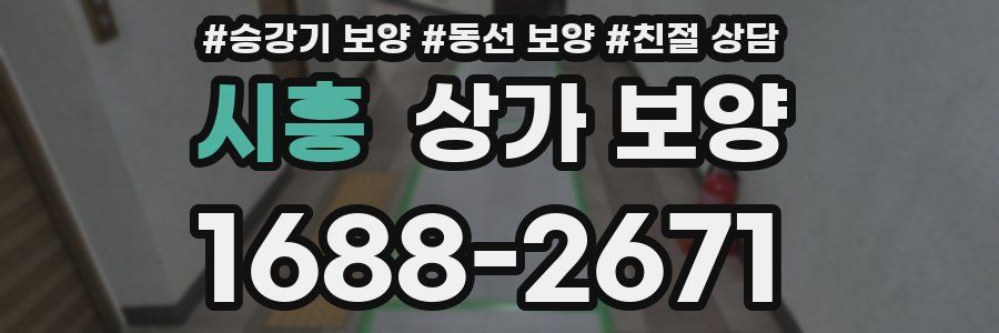 시흥 상가 보양