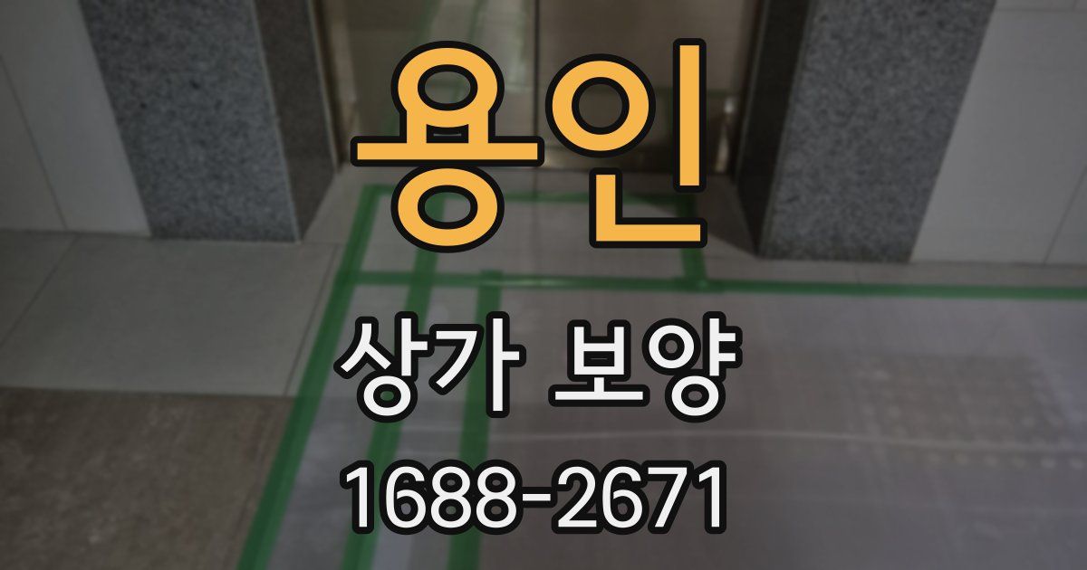 용인 상가 보양