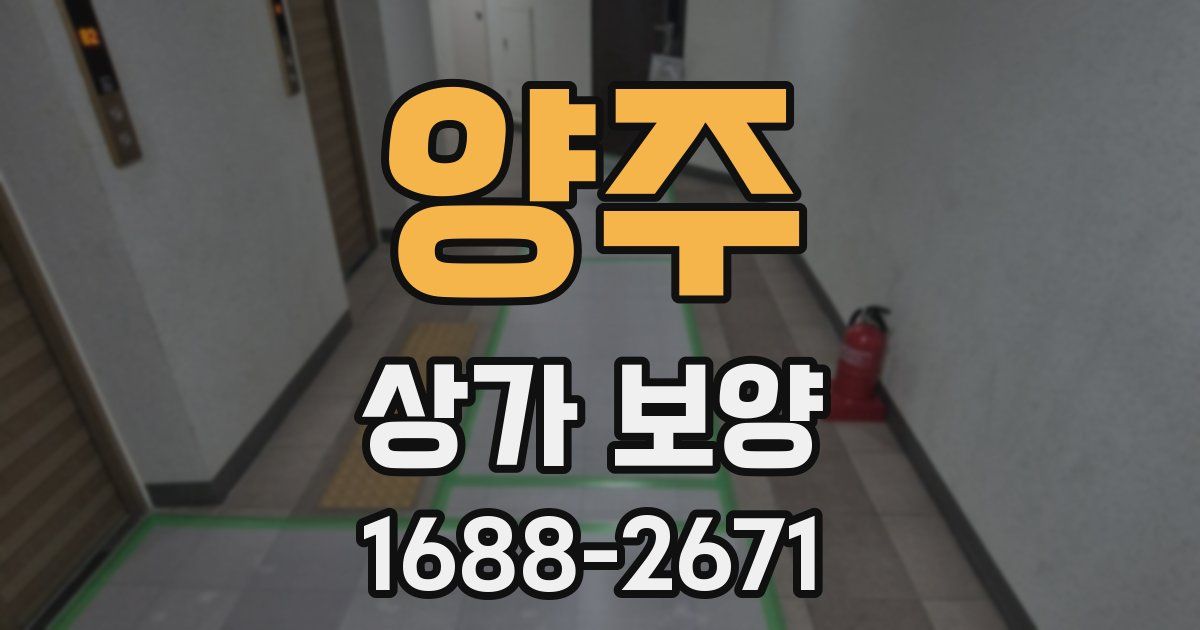 양주 상가 보양