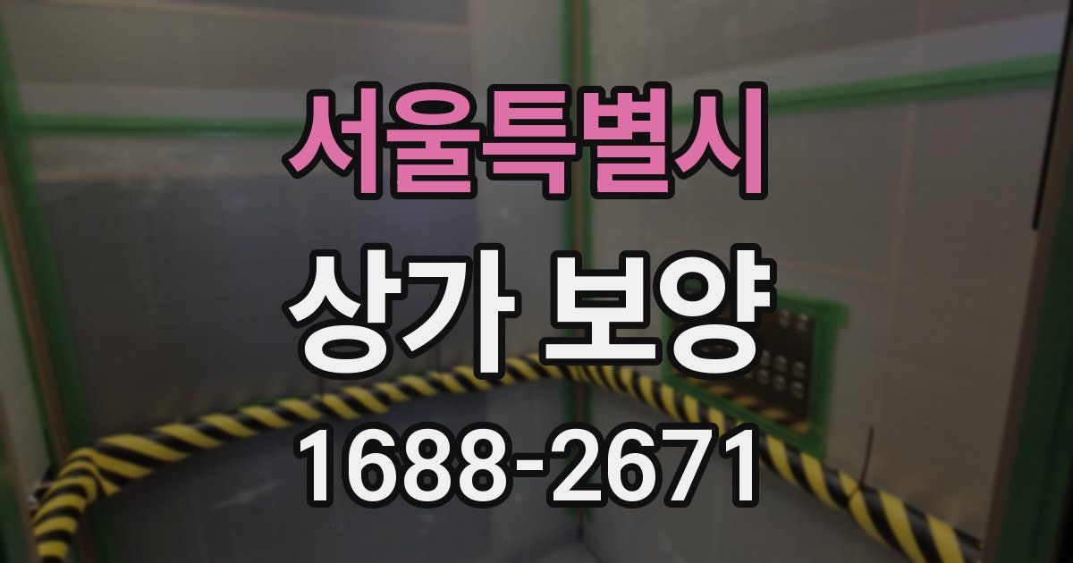 서울특별시 상가 보양