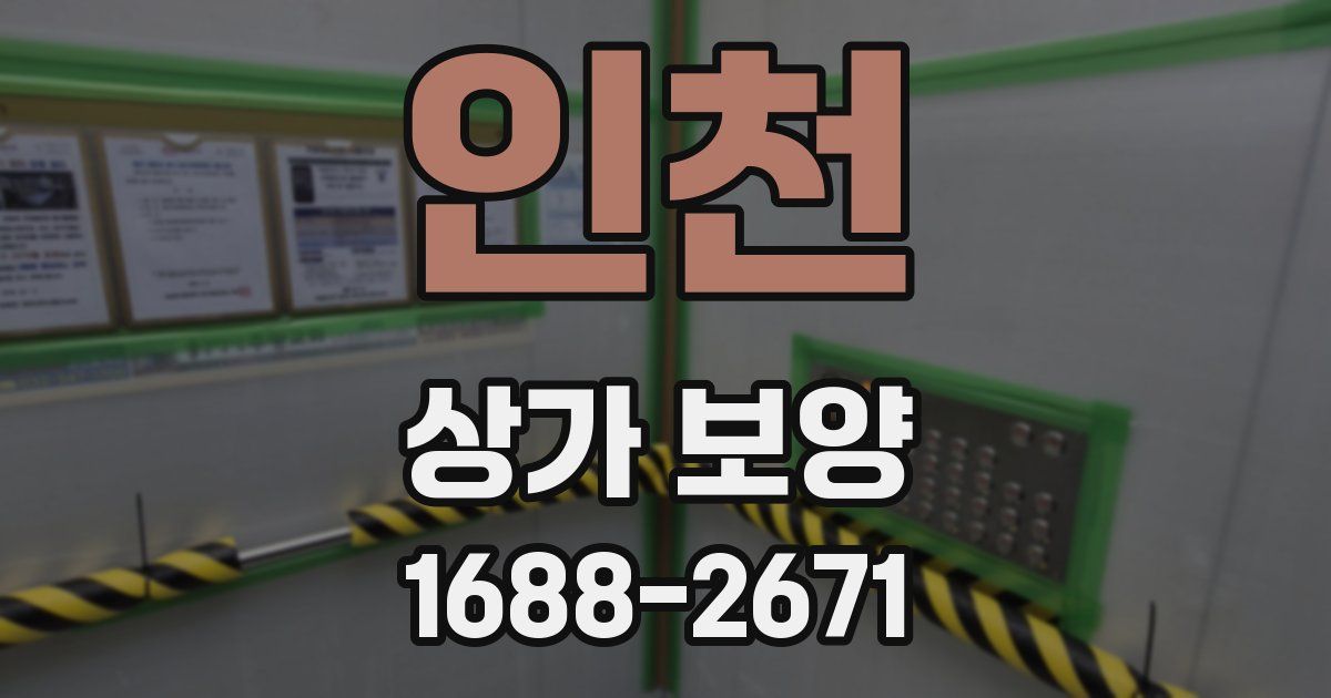 인천 상가 보양