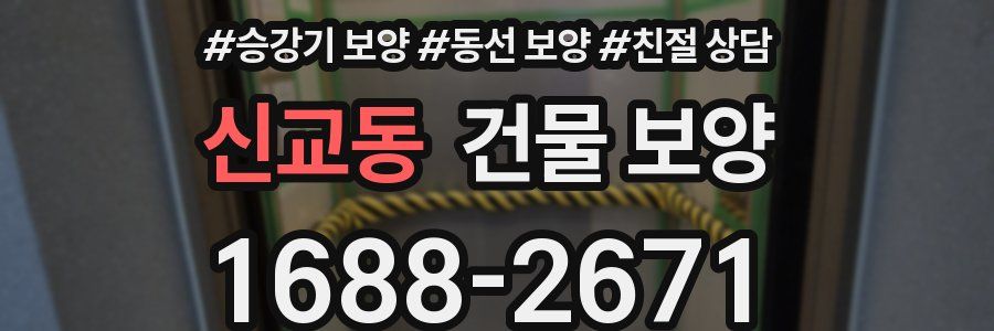 신교동 건물 보양
