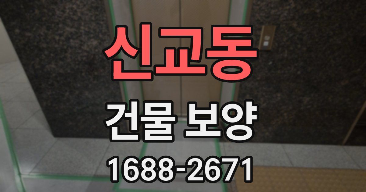 신교동 건물 보양