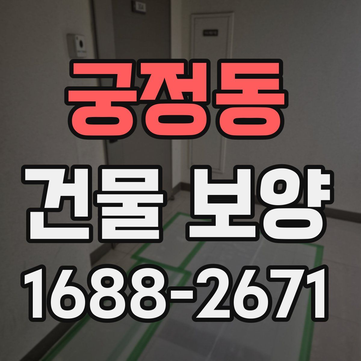 궁정동 건물 보양