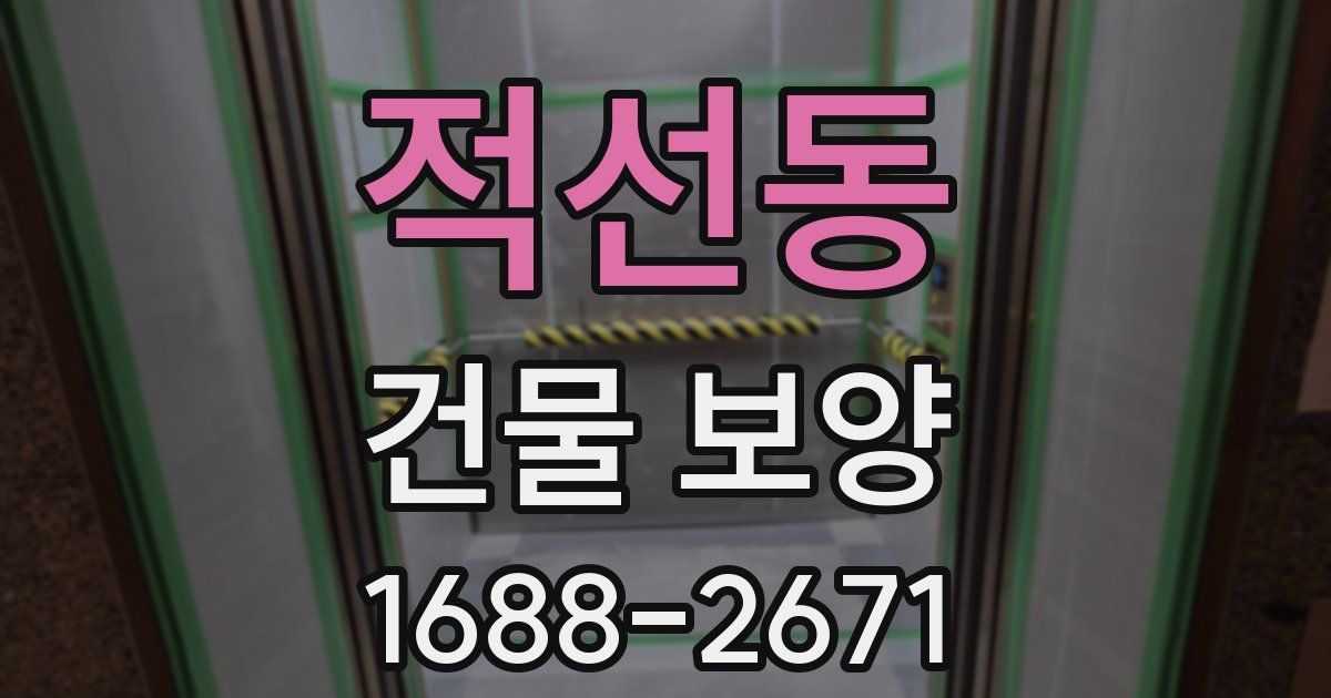적선동 건물 보양