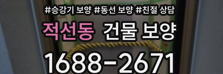 적선동 건물 보양