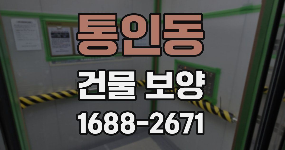 통인동 건물 보양