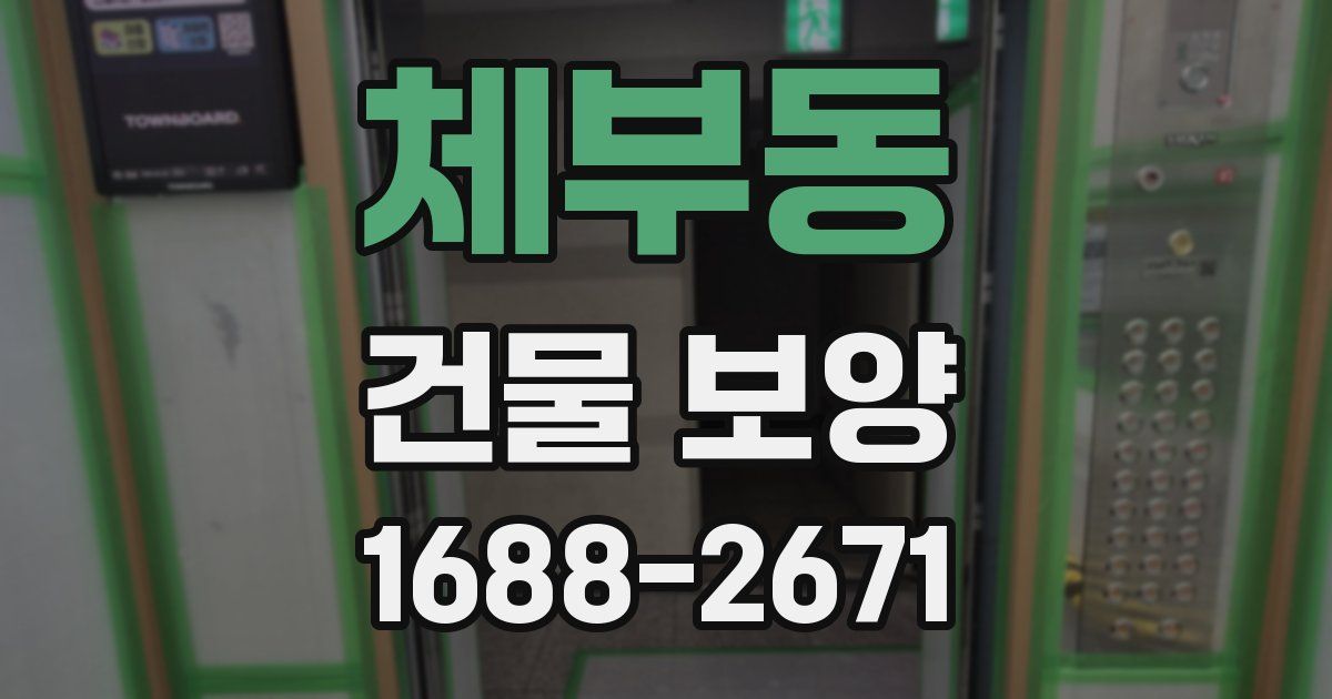 체부동 건물 보양