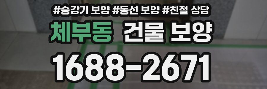 체부동 건물 보양