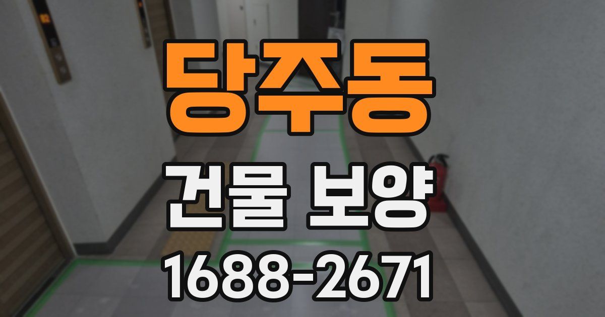 당주동 건물 보양