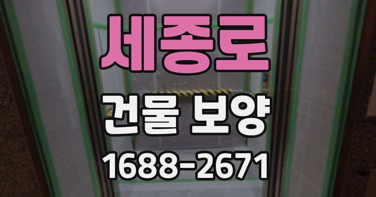 세종로 건물 보양