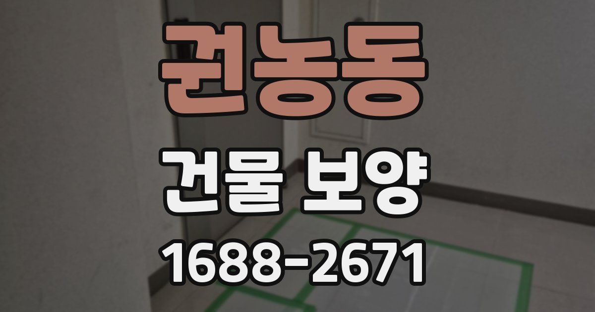 권농동 건물 보양