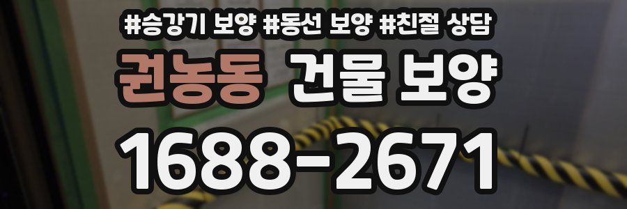 권농동 건물 보양
