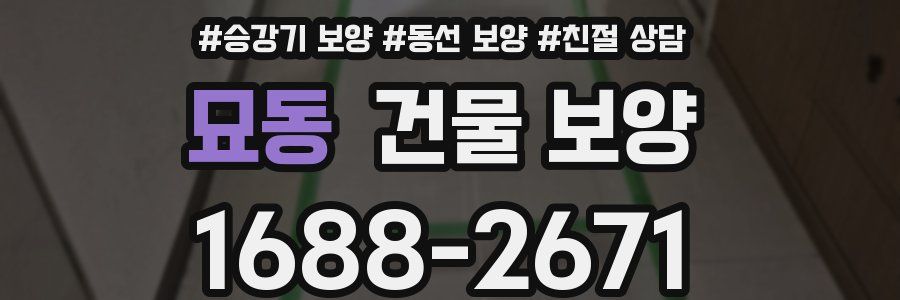 묘동 건물 보양