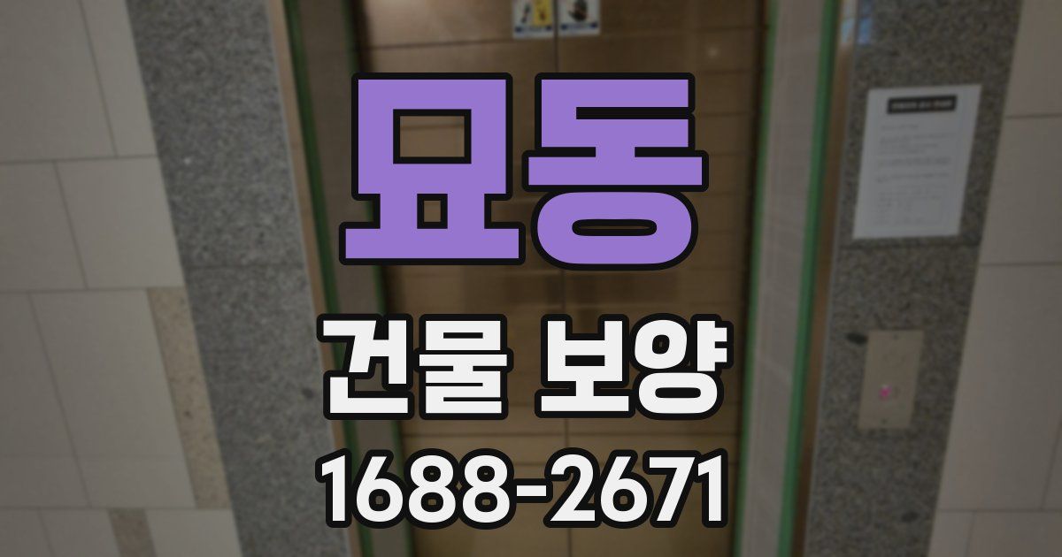 묘동 건물 보양