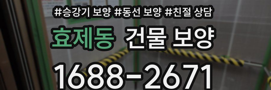 효제동 건물 보양
