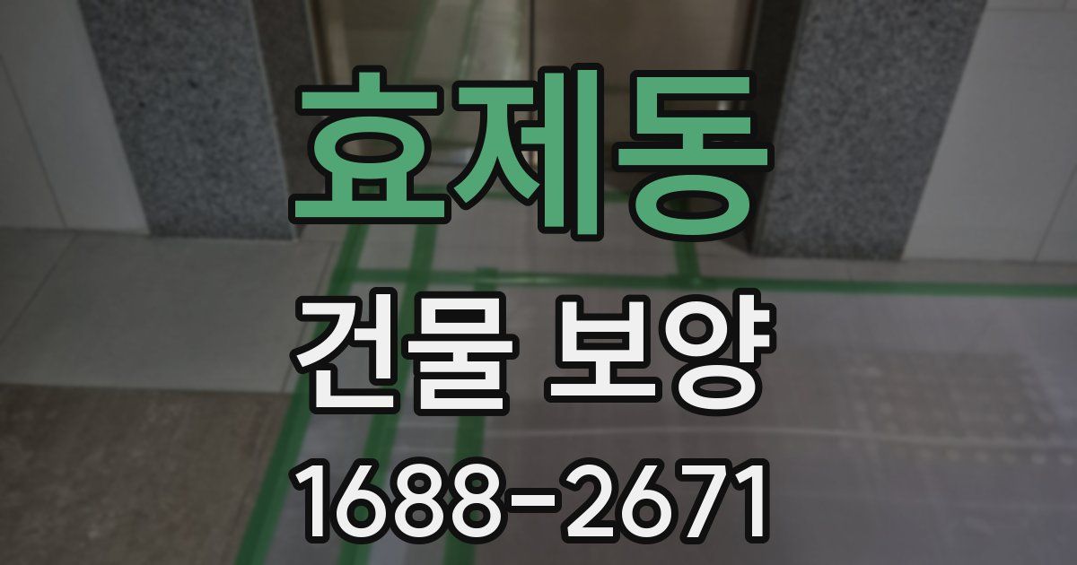 효제동 건물 보양