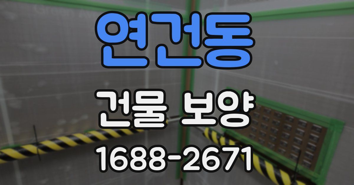 연건동 건물 보양