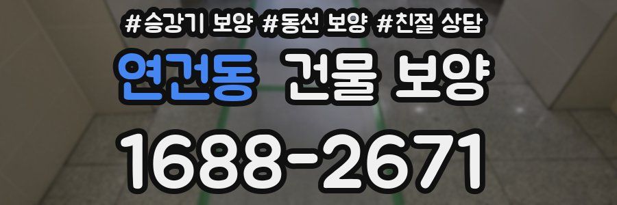 연건동 건물 보양