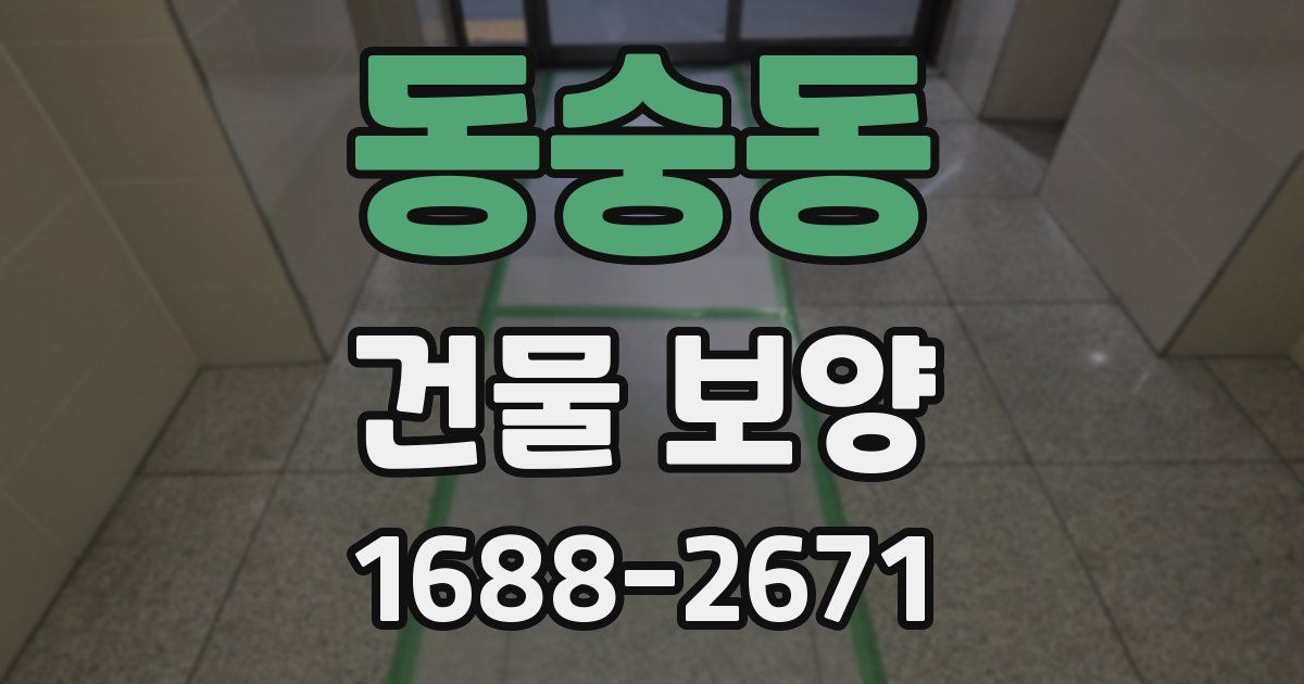 동숭동 건물 보양