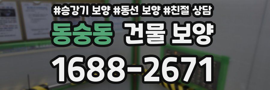 동숭동 건물 보양