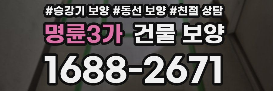 명륜3가 건물 보양