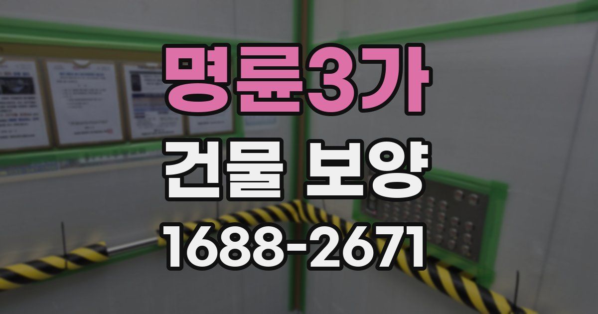 명륜3가 건물 보양