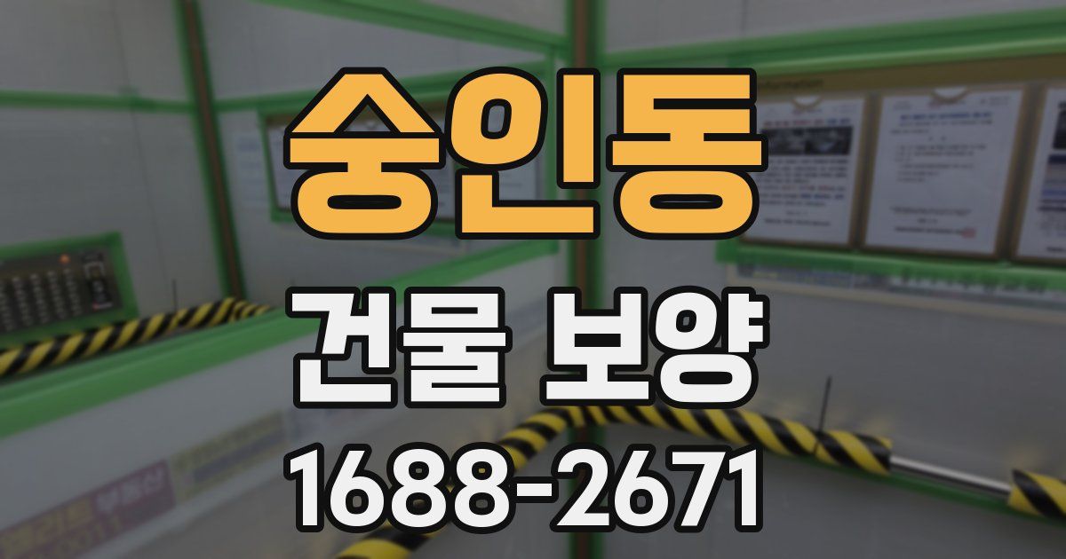 숭인동 건물 보양