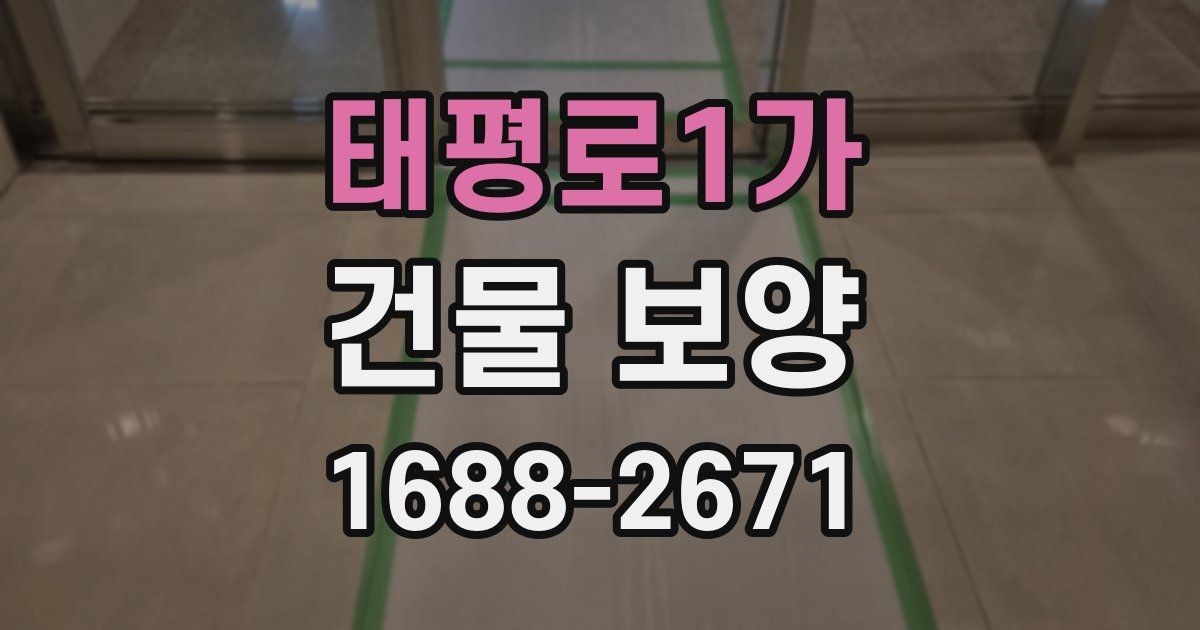 태평로1가 건물 보양