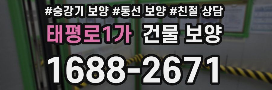 태평로1가 건물 보양