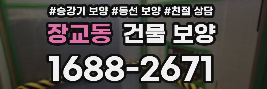 장교동 건물 보양