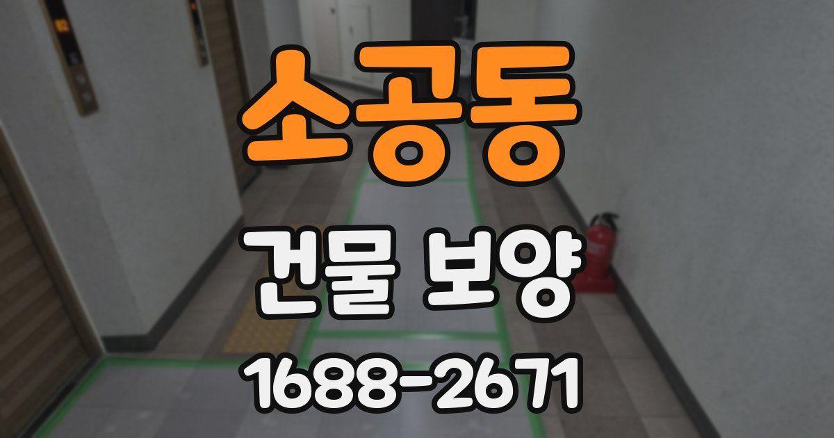 소공동 건물 보양