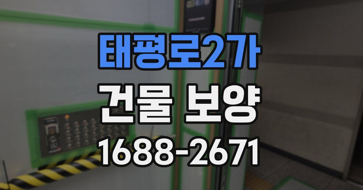태평로2가 건물 보양