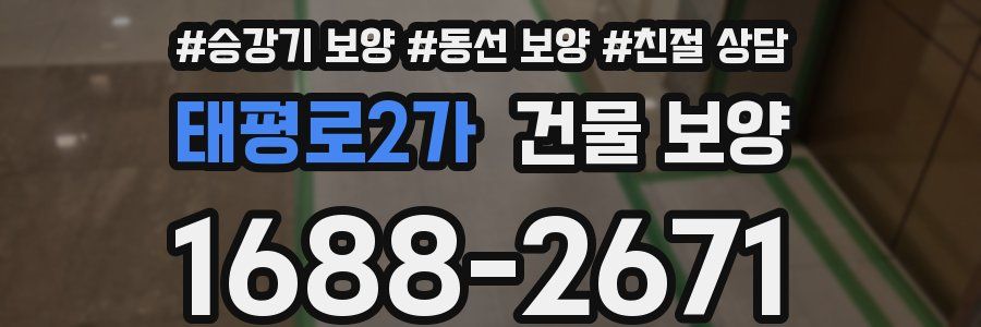 태평로2가 건물 보양