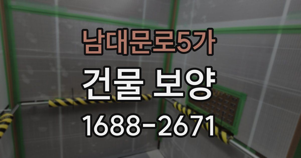 남대문로5가 건물 보양