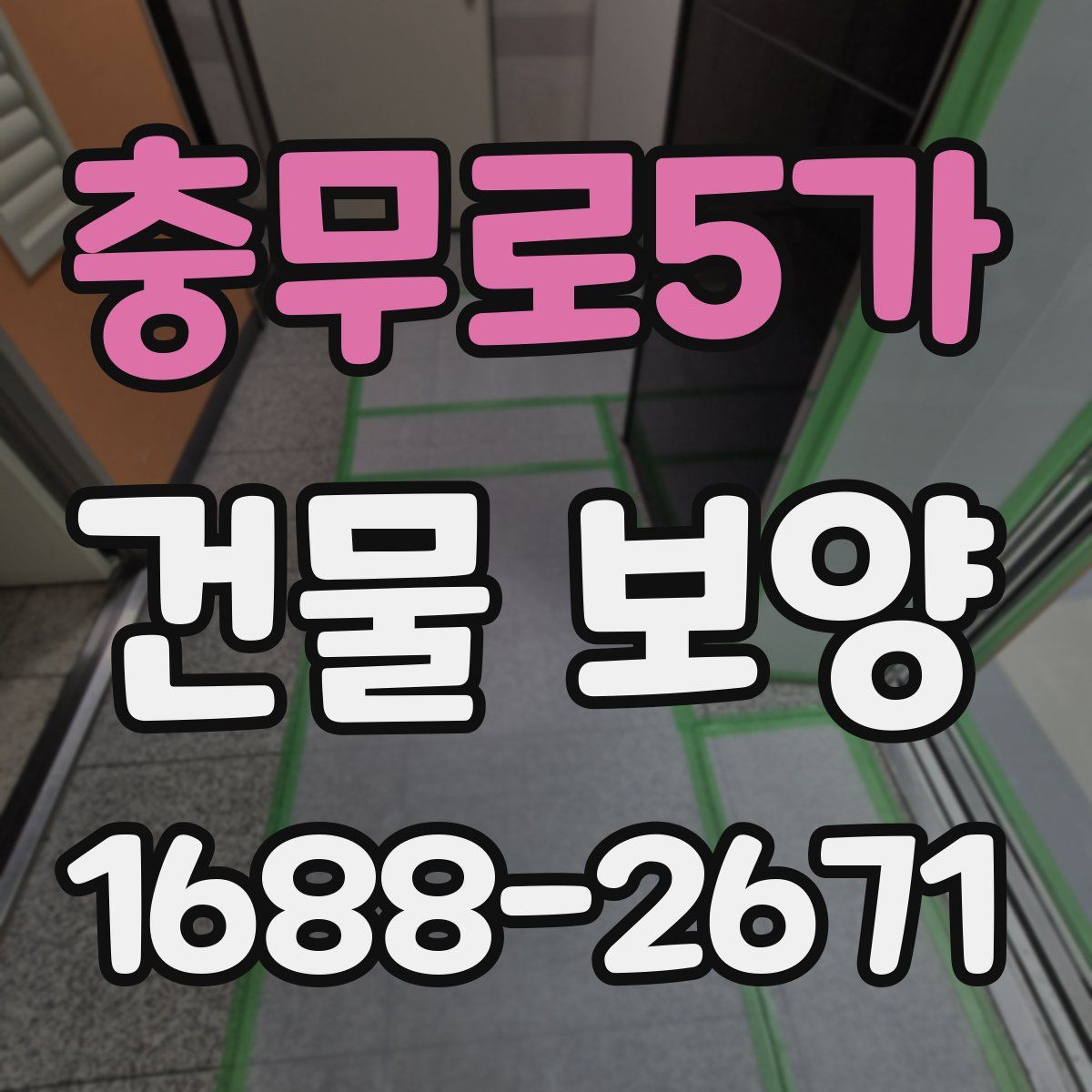 충무로5가 건물 보양