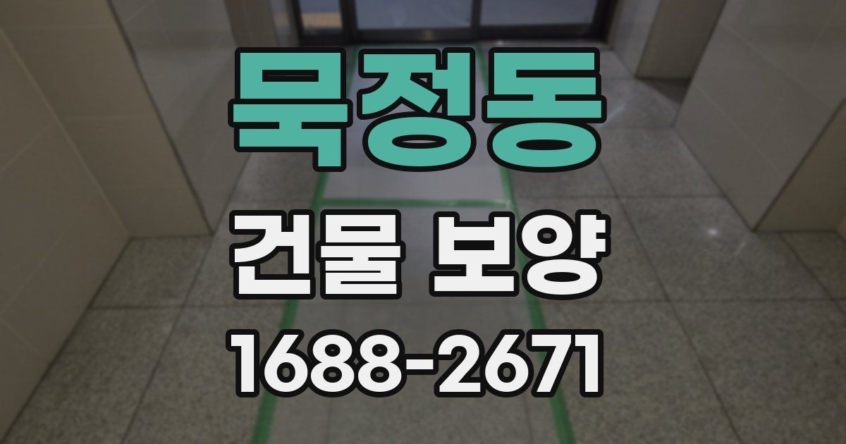 묵정동 건물 보양