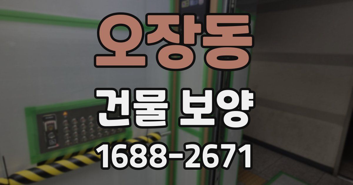 오장동 건물 보양