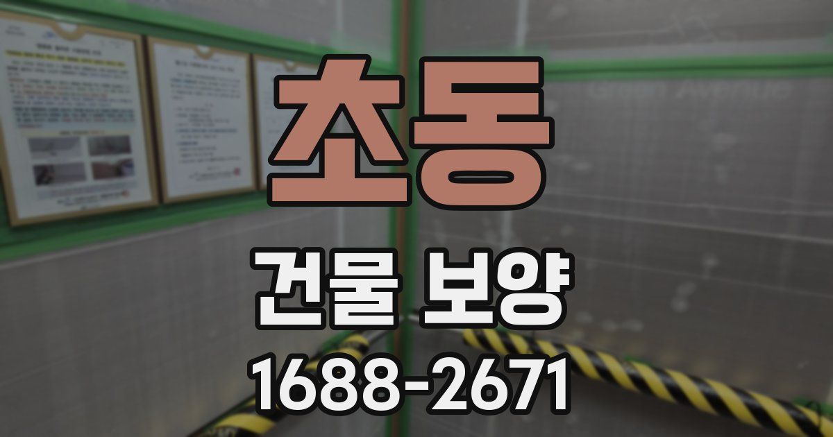초동 건물 보양