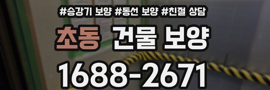 초동 건물 보양