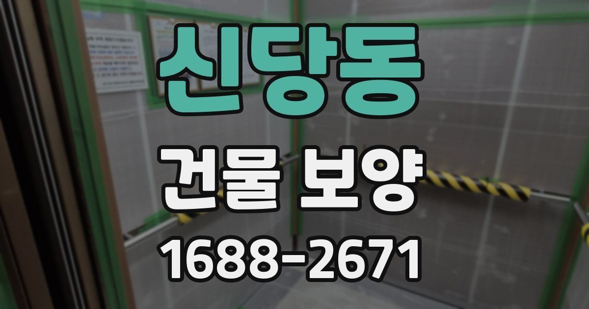 신당동 건물 보양