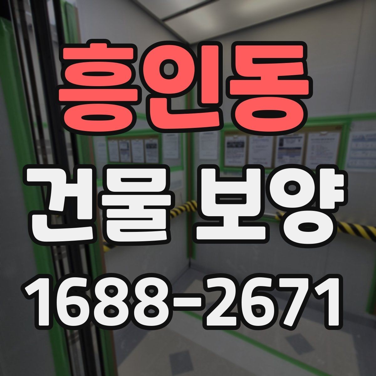 흥인동 건물 보양 현장 정돈을 위한 실용 가이드