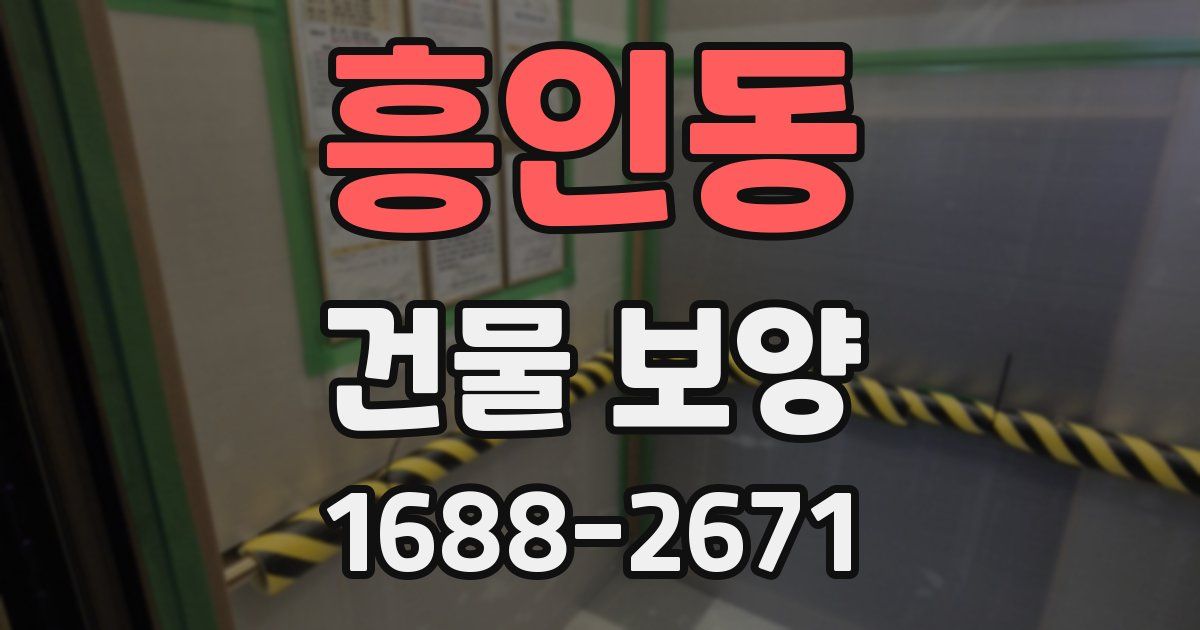흥인동 건물 보양