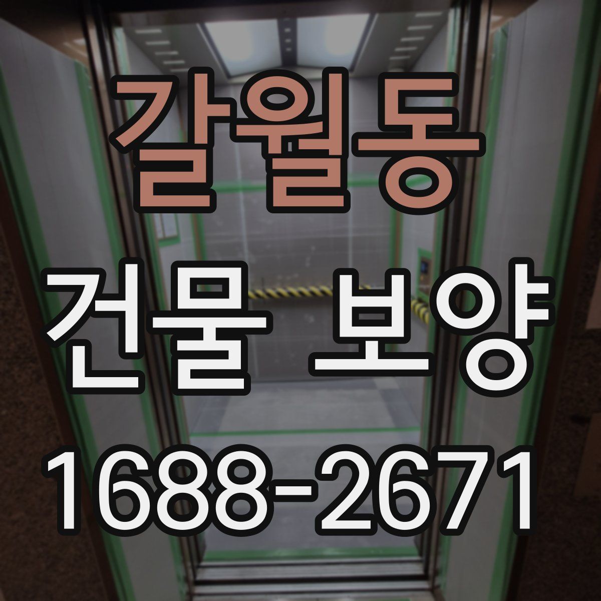 갈월동 건물 보양