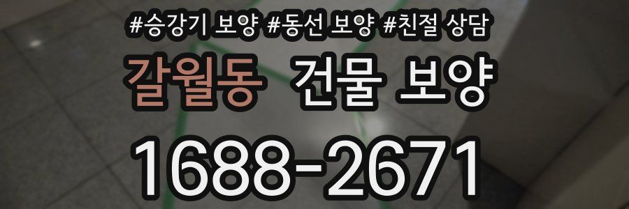 갈월동 건물 보양